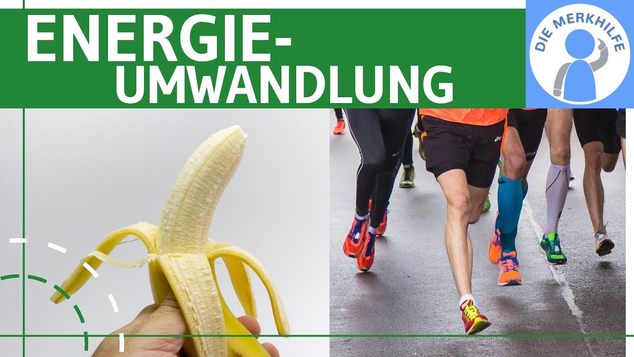 Wie bewusste Ernährung Energie im Alltag steigert